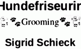 Dagmar’s Hundesalon - Schönheitssalon für 4 Pfoten 1 dagmars hundesalon schonheitssalon fur 4 pfoten