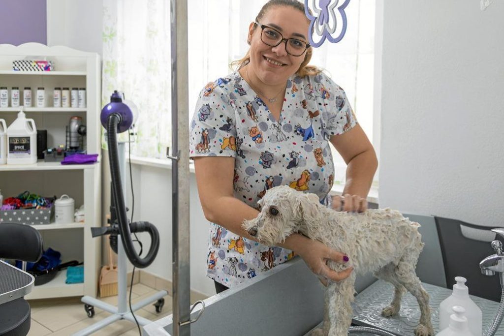 Daisys Hundesalon 1 daisys hundesalon