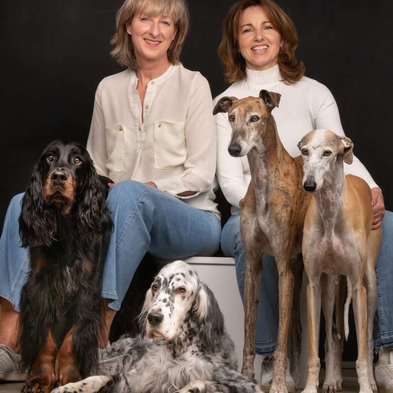 gordon der gepflegte hund hundesalon und groomerschule