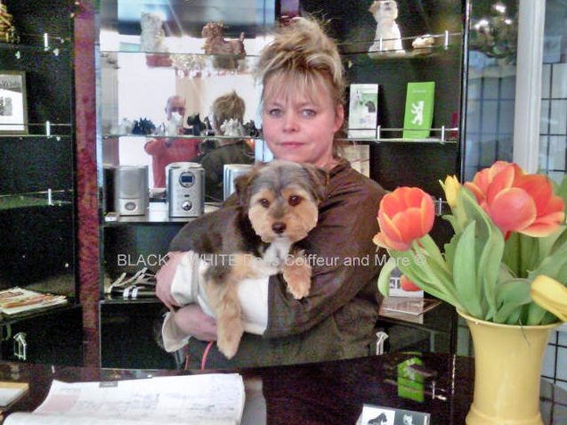 Hunde & Katzensalon Black & White Dogs Coiffeur and More 1 hunde katzensalon black white dogs coiffeur and more