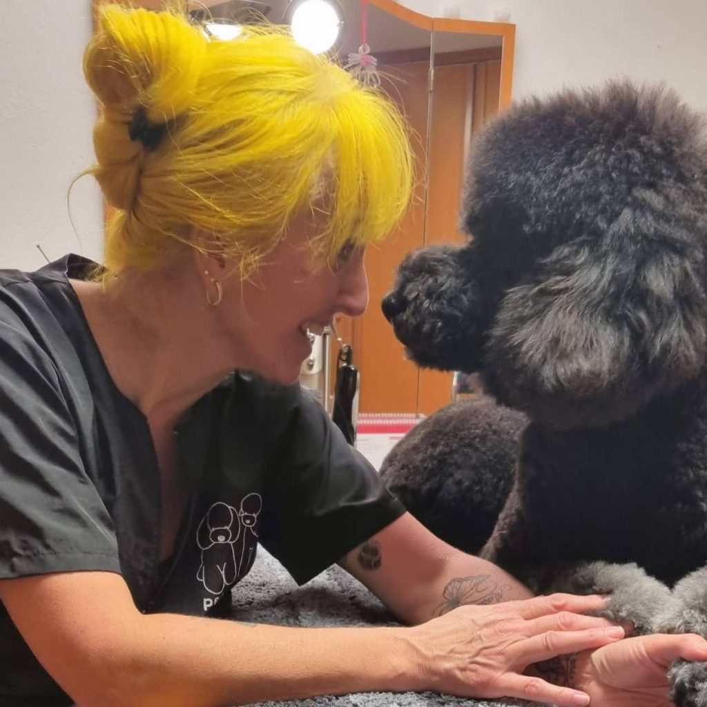 hundefriseur mit herz