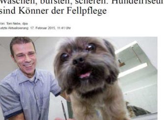 Hundefriseur Wolf 1 hundefriseur wolf