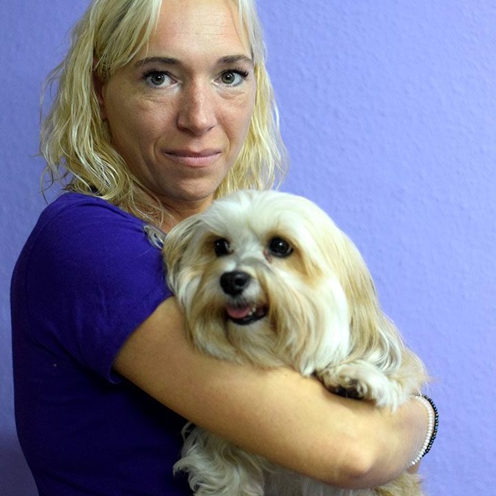 Hundepflegesalon Fell in Form 1 hundepflegesalon fell in form