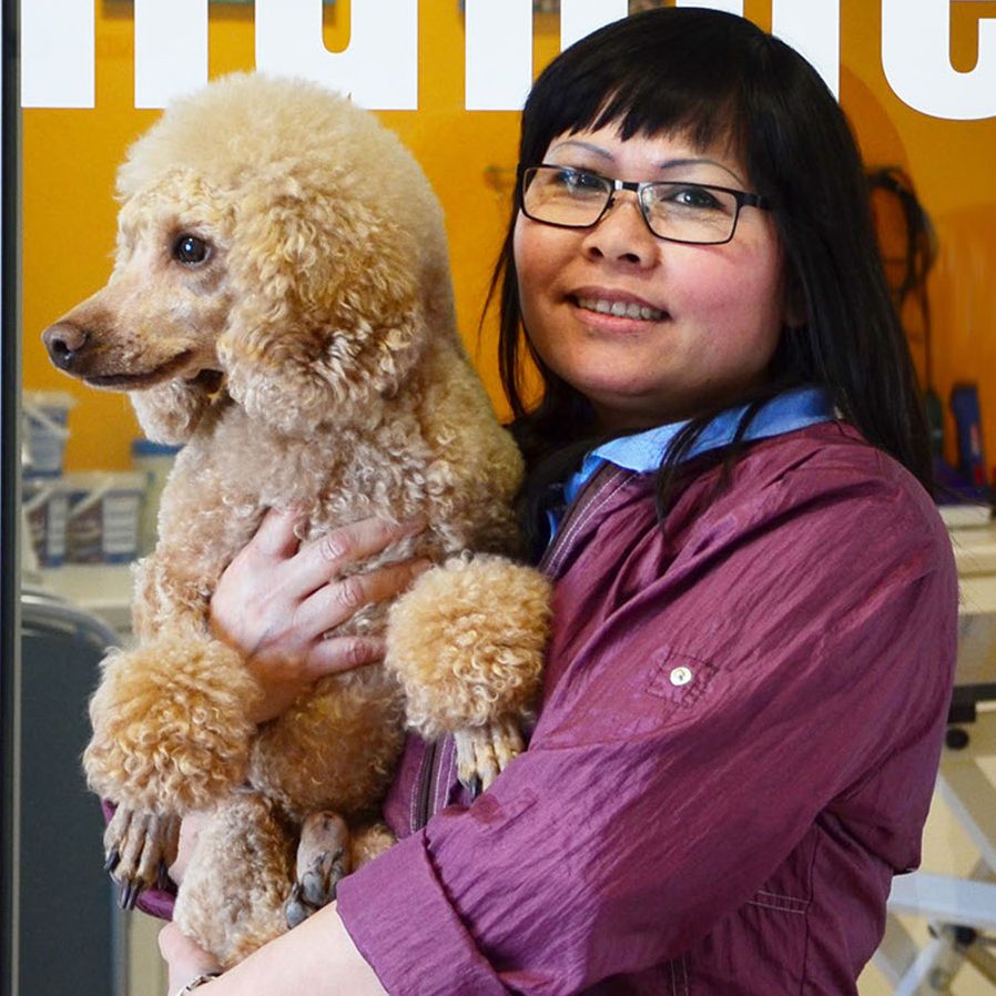 Hundesalon am Kölle Zoo Maja Kraus 1 hundesalon am koelle zoo maja kraus