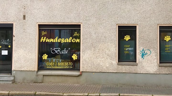 Hundesalon "Balu" 1 hundesalon balu