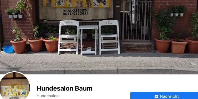 Hundesalon Baum 1 hundesalon baum