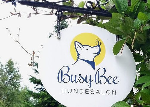 Hundesalon Busy Bee 1 hundesalon busy bee