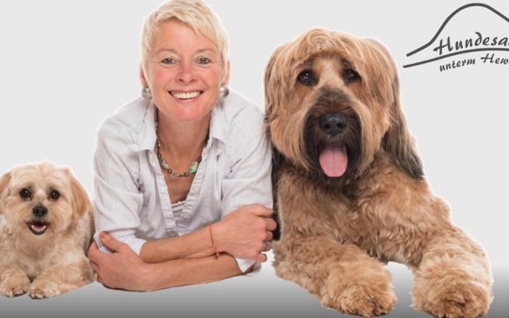 Hundesalon by Agnes 1 hundesalon by agnes