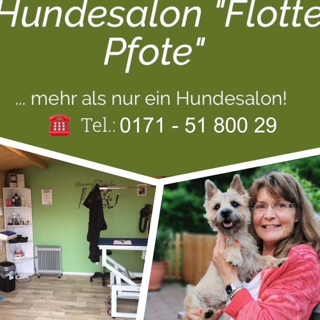 Hundesalon Flotte Pfote 1 hundesalon flotte pfote