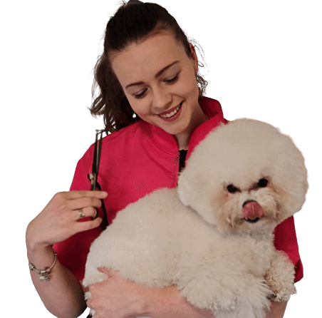 Hundesalon / Hundefriseur Leyla 1 hundesalon hundefriseur leyla
