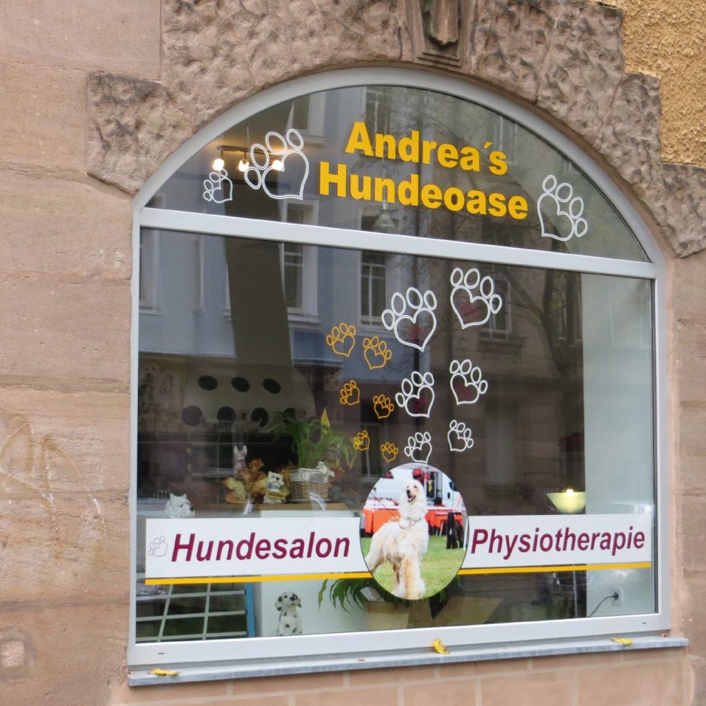hundesalon in nurnberg professionelle pflege fur ihren vierbeiner