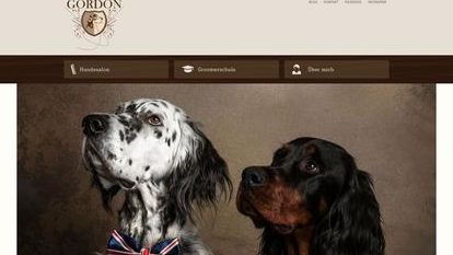 Hundesalon in Wiesbaden – Professionelle Pflege für Ihren Vierbeiner 1 hundesalon in wiesbaden professionelle pflege fur ihren vierbeiner