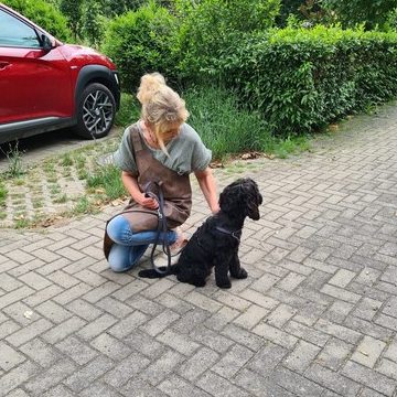 hundesalon juwel