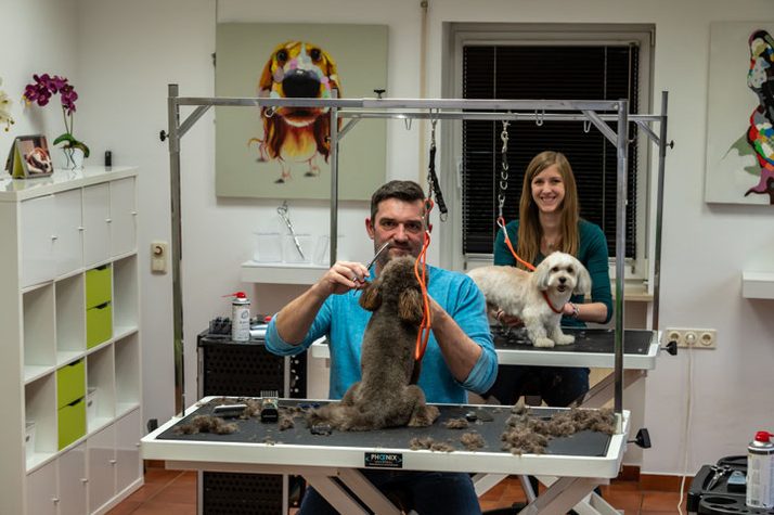 Hundesalon Kurz oder Lang 1 hundesalon kurz oder lang