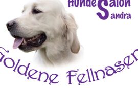 hundesalon physiotherapie goldene fellnasen