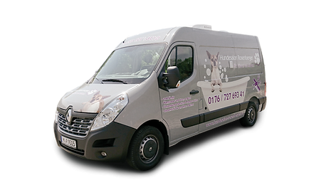 hundesalon rosenberger ihr friseur auf radern