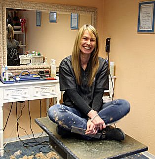 Hundesalon und Mehr Wiesbaden 1 hundesalon und mehr wiesbaden