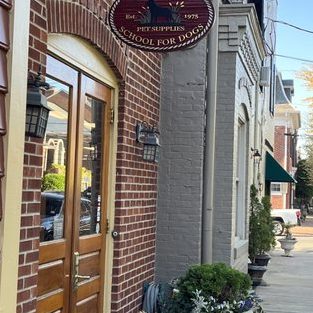 Old Town Dogs 089 1 old town dogs 089