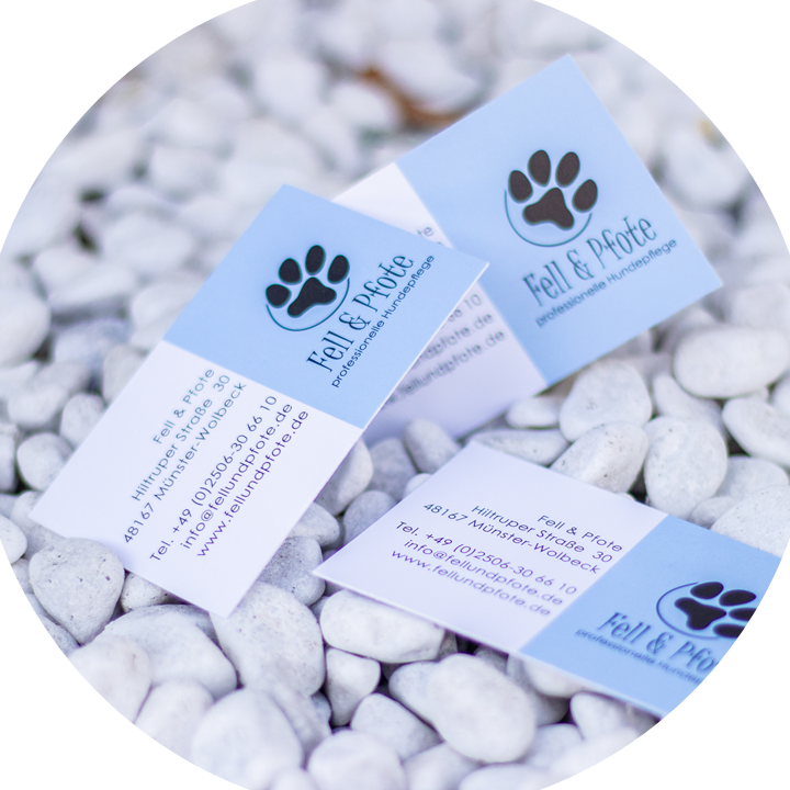 professionelle hundepflege im hundesalon munster