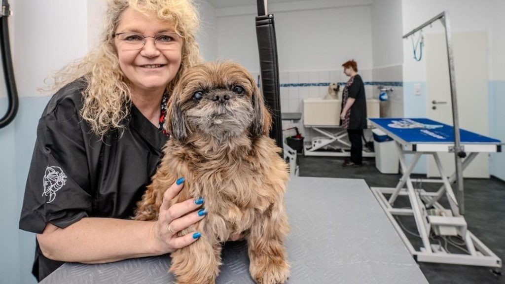 professioneller hundesalon in bochum pflege wohlfuhlservice