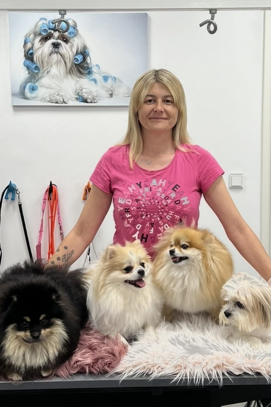 Professioneller Hundesalon in Gelsenkirchen – Pflege & Wohlfühlservice 1 professioneller hundesalon in gelsenkirchen pflege wohlfuhlservice