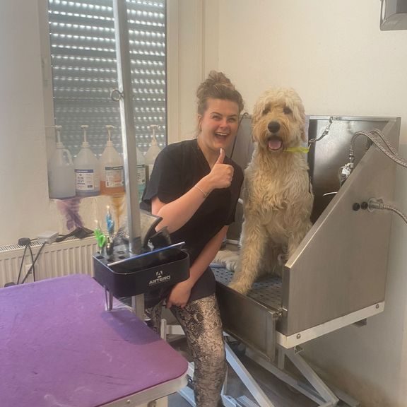 Professioneller Hundesalon in Wuppertal für beste Pflege 1 professioneller hundesalon in wuppertal fur beste pflege