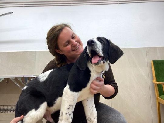 rosis hundesalon